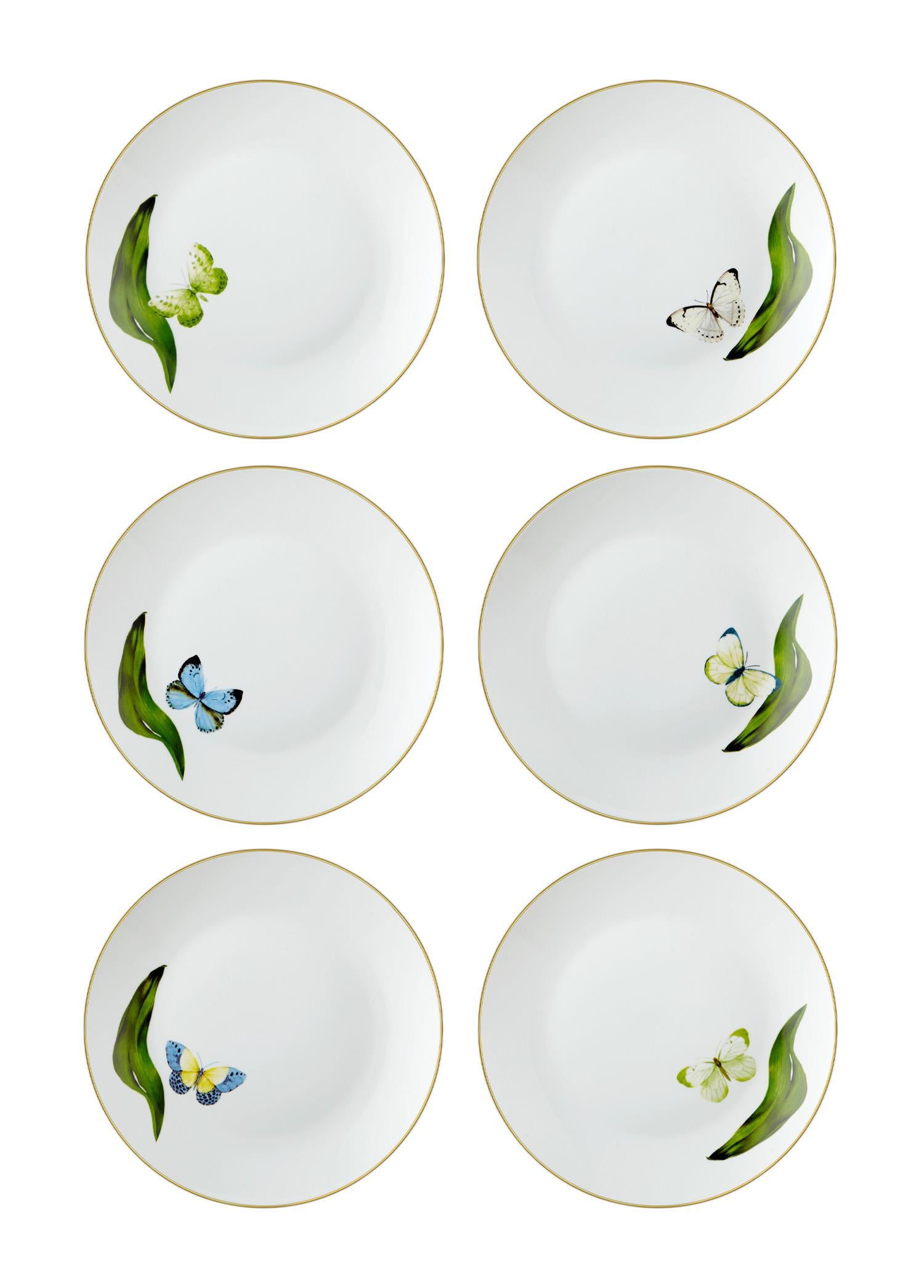 Folium Pasta Tabağı 6 Kişilik