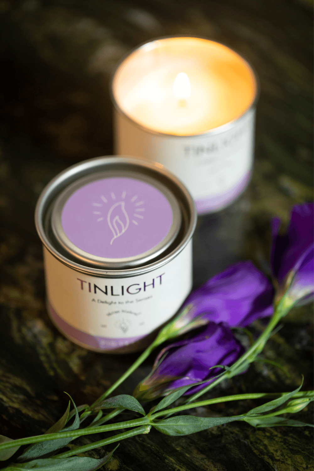 Tinlight-TINLIGHT FIG TREE 170 GR-Mum-3-Milagron.com