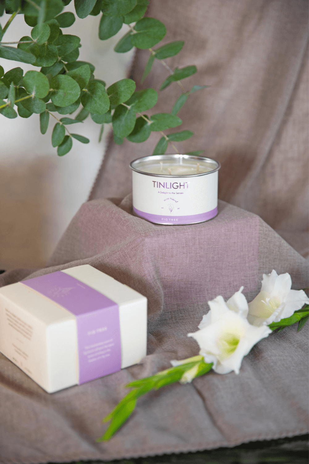 Tinlight-TINLIGHT FIG TREE 340 GR-Mum-4-Milagron.com