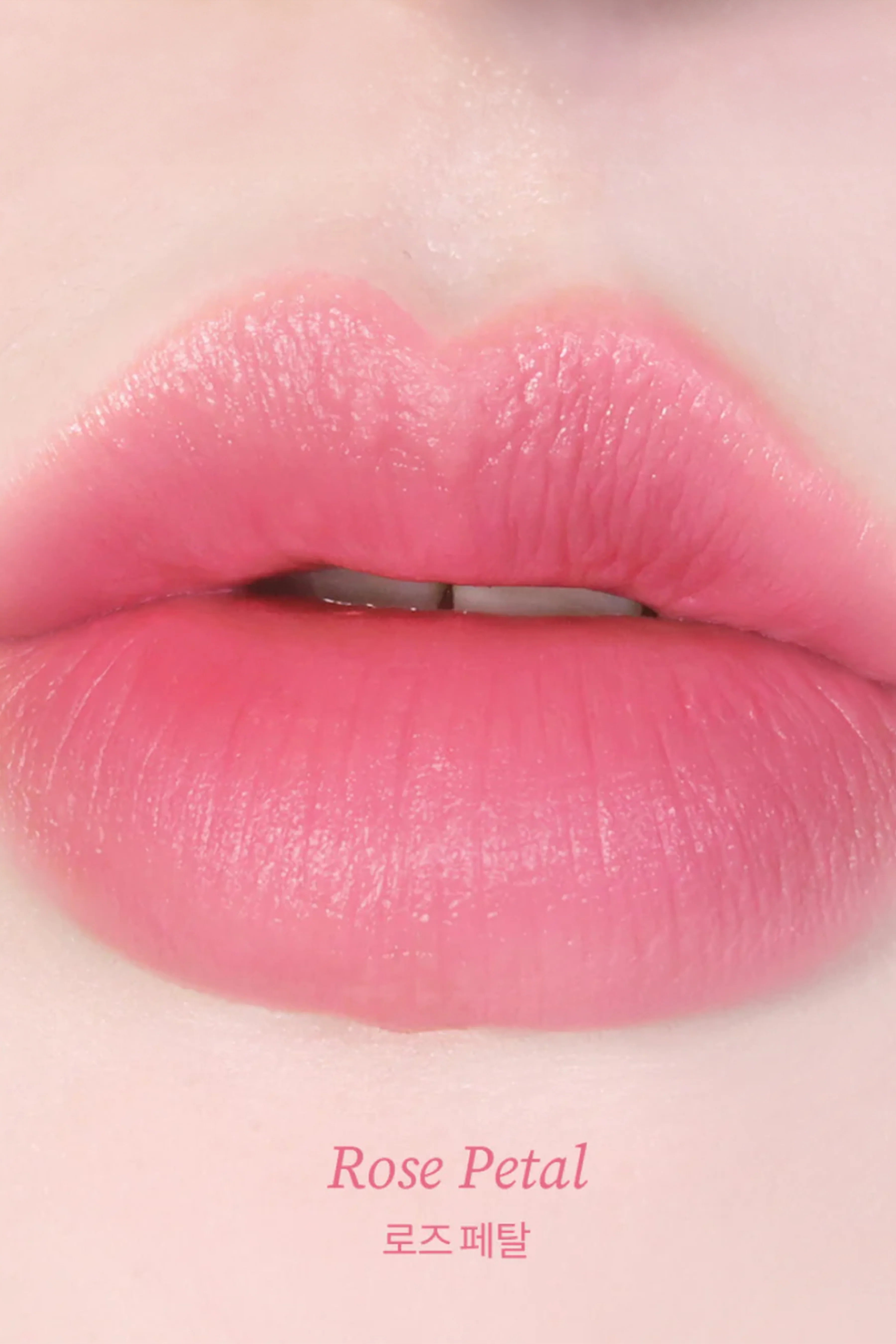 Tocobo-Tocobo Powder Cream Lip Balm 032 Rose Petal 19gr Mat & Pudra Bitişli Vegan Lip Balm-Lip Balm-4-Milagron.com
