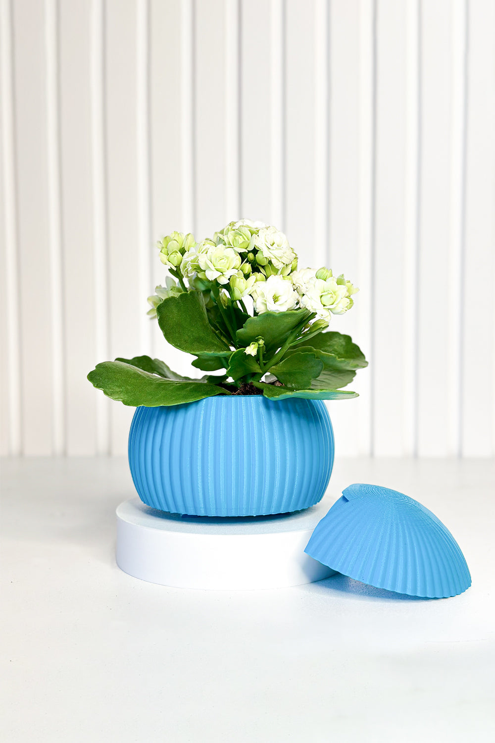 Tou Workshop-Hue Nest Mini Duvar Saksısı-Dekoratif Saksı-3-Milagron.com