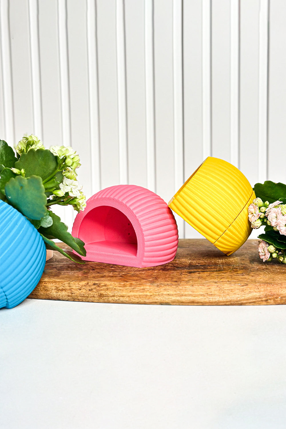 Tou Workshop-Hue Nest Mini Duvar Saksısı-Dekoratif Saksı-4-Milagron.com