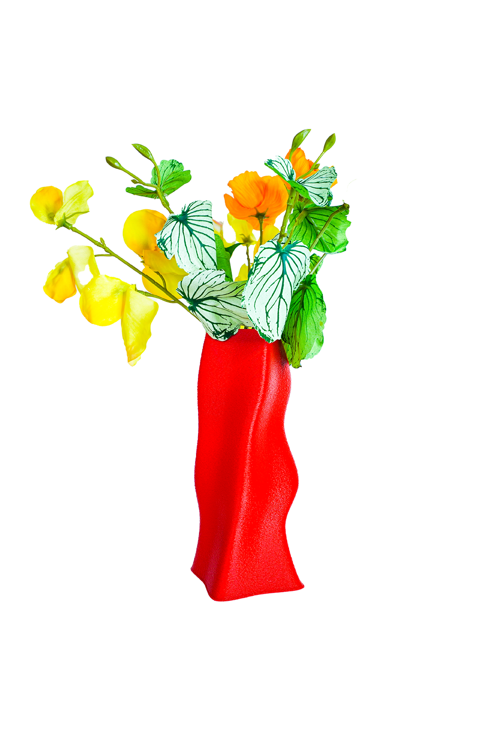 Tou Workshop-Jelibon Vazo-Vazo-1-Milagron.com