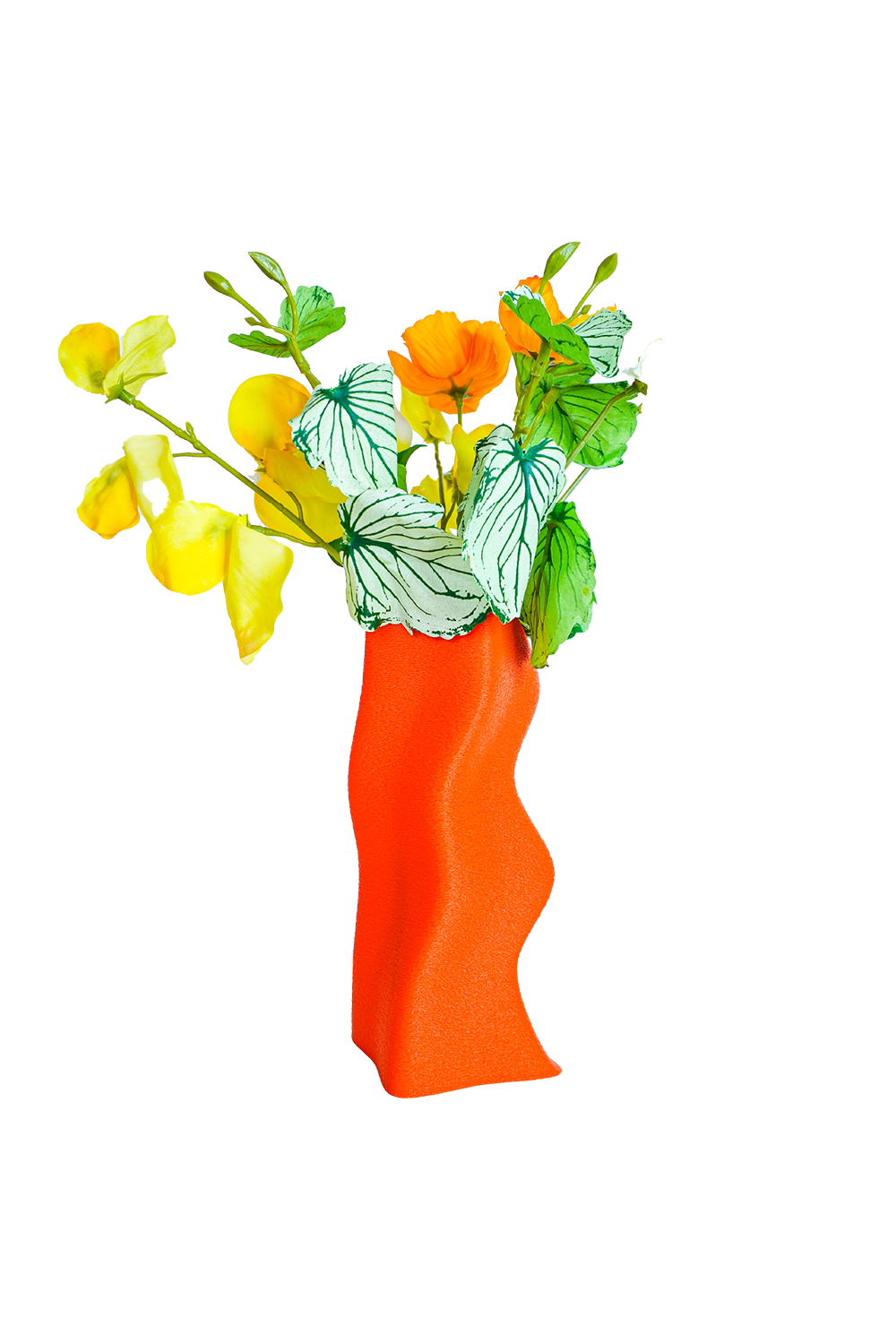 Tou Workshop-Jelibon Vazo-Vazo-1-Milagron.com