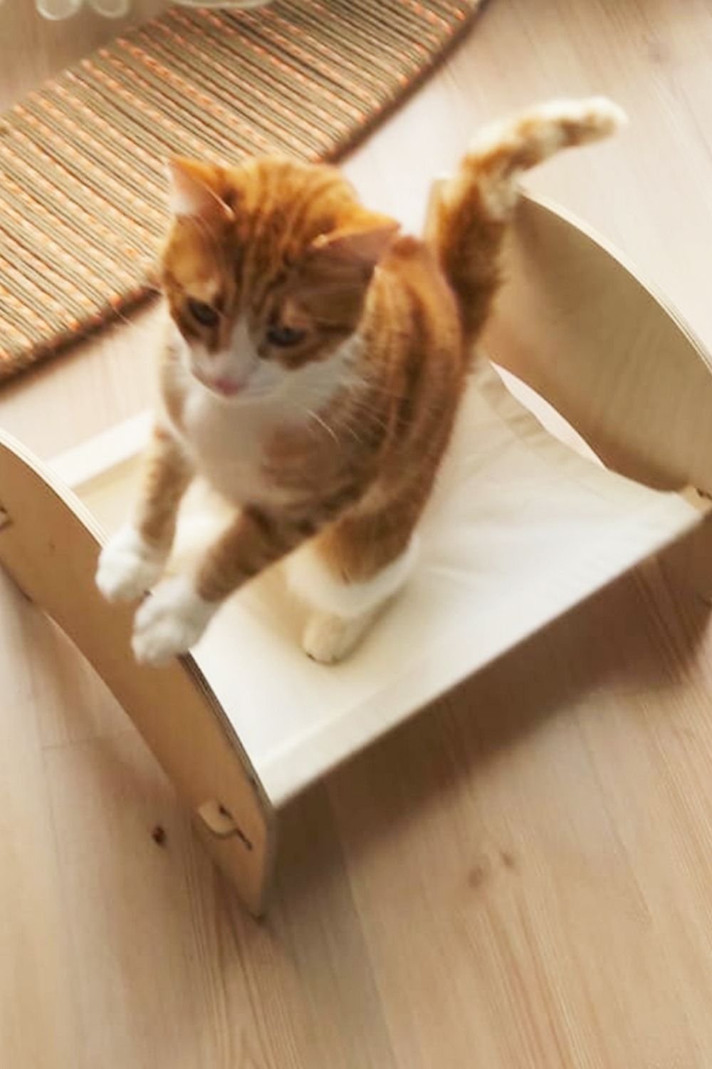 Tufetto-Mokku Ahşap Kedi Hamağı-Kedi-5-Milagron.com