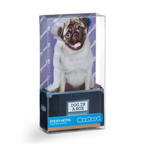 Mustard Dog In A Box Notluk