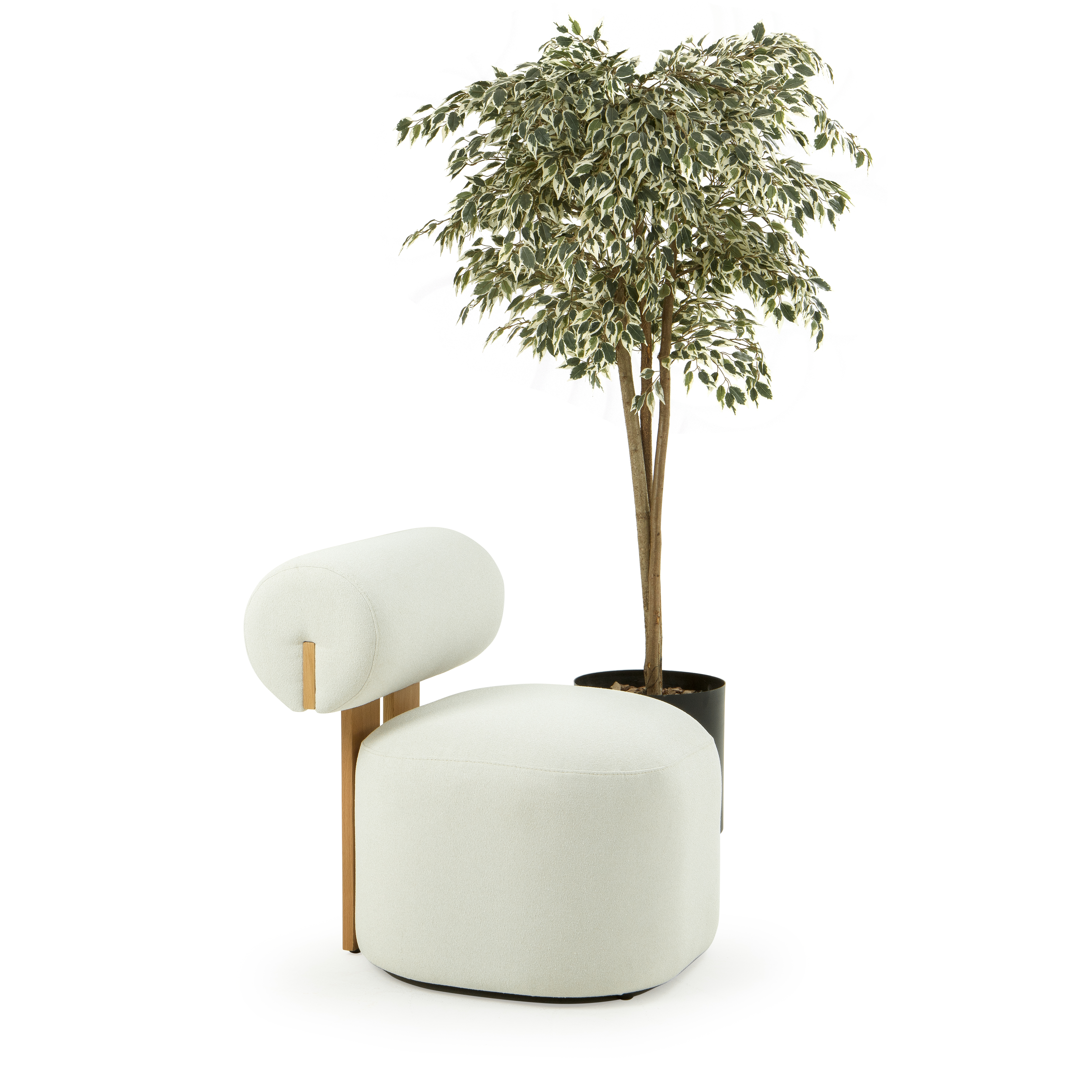 Valnott-Ball Berjer-Berjer-5-Milagron.com