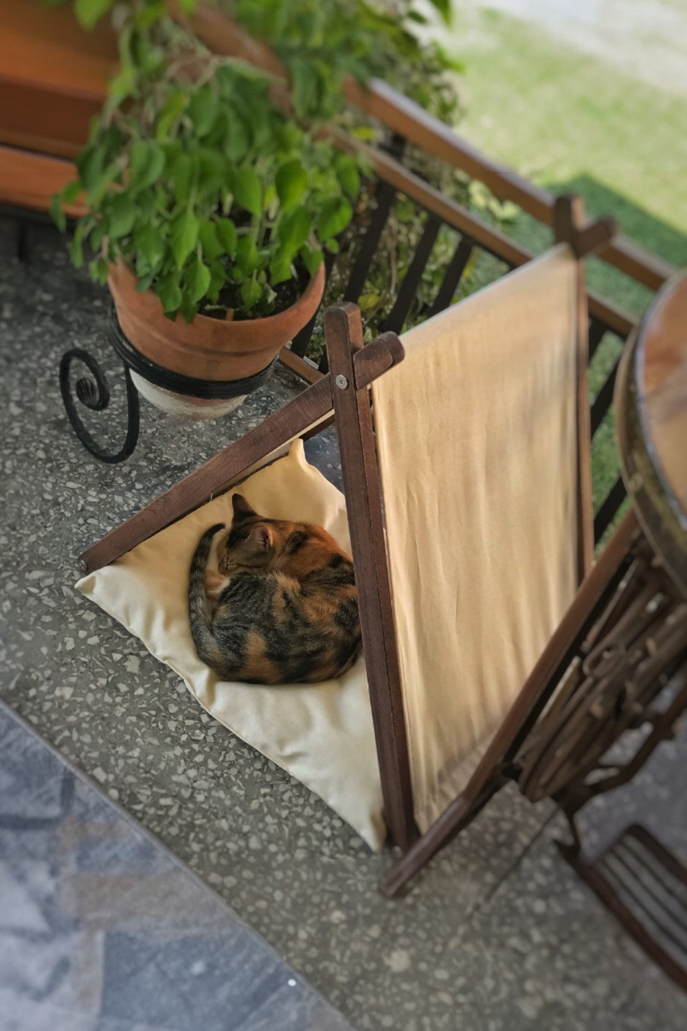 Vune Concept-Ketu Kedi Evi - Bej-Kedi-2-Milagron.com