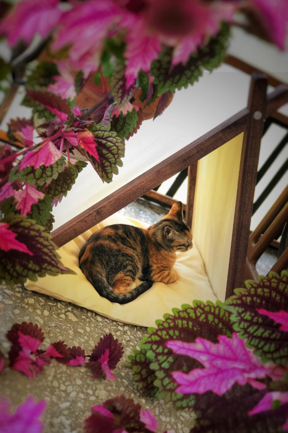 Vune Concept-Ketu Kedi Evi - Bej-Kedi-3-Milagron.com