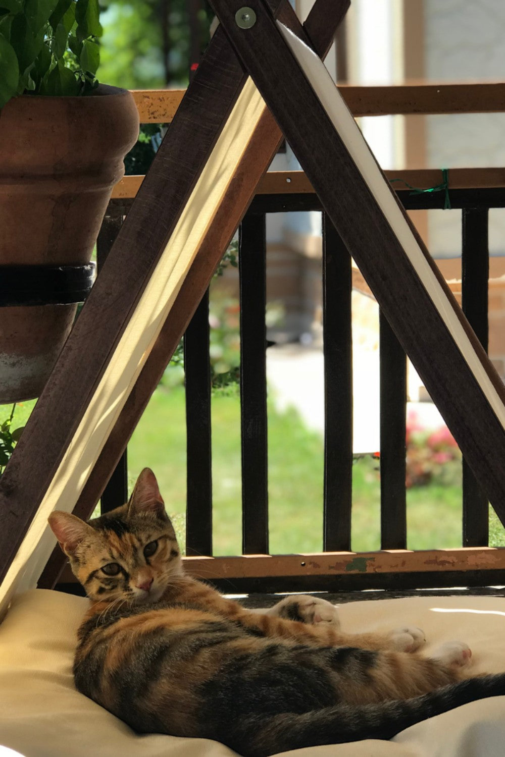 Vune Concept-Ketu Kedi Evi - Bej-Kedi-4-Milagron.com