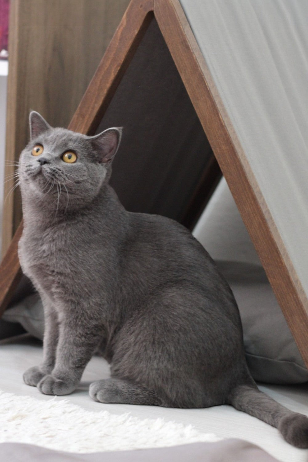 Vune Concept-Ketu Kedi Evi - Gri-Kedi-9-Milagron.com