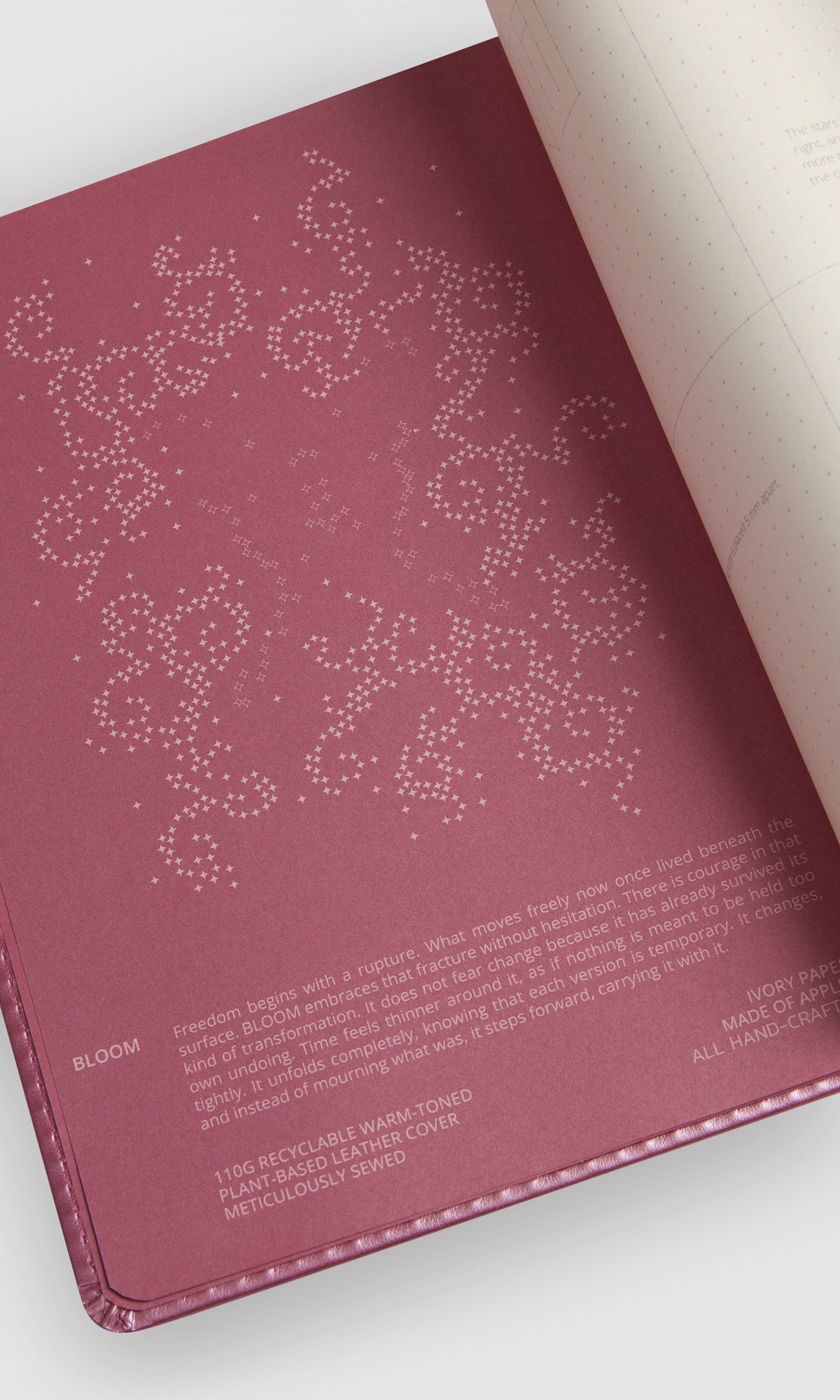 Bullet Journal - Bloom