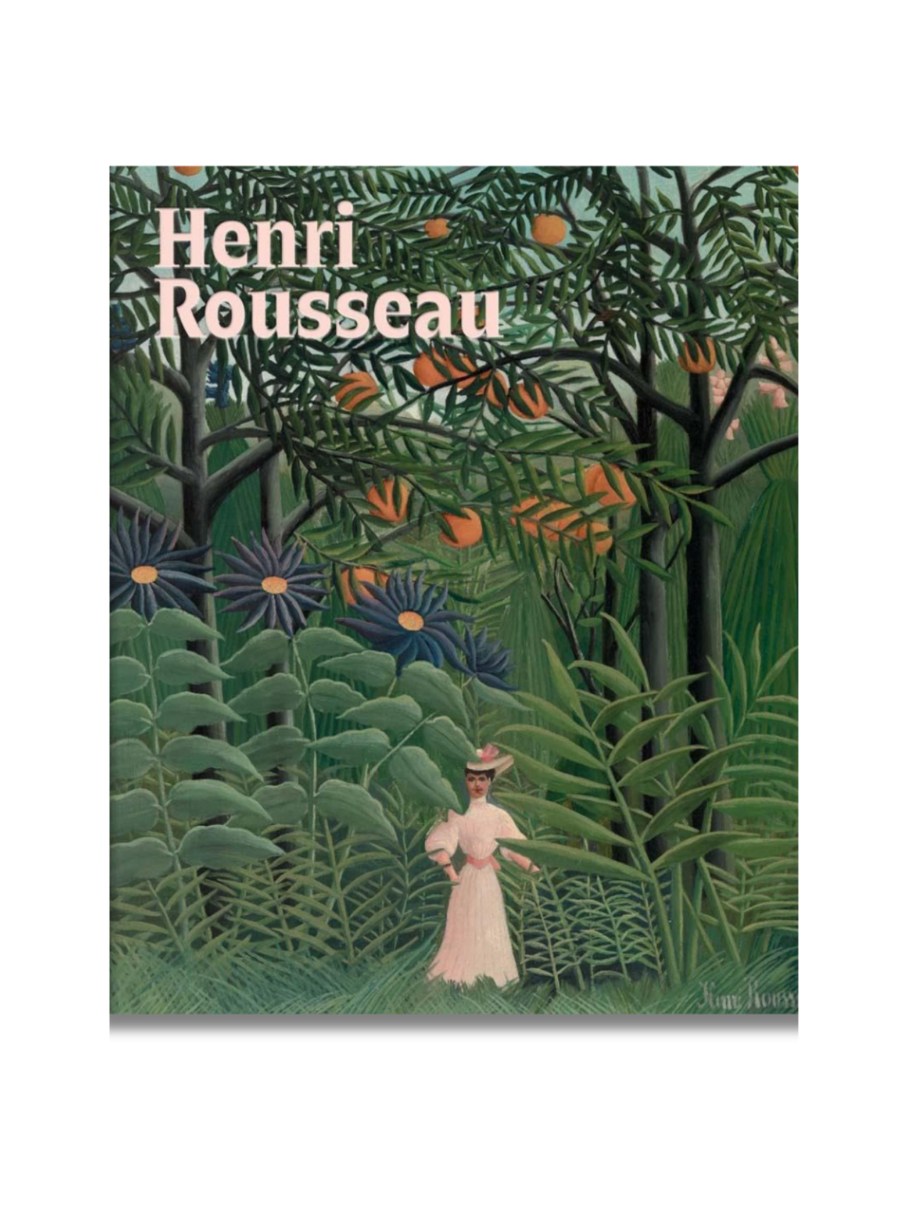 Henri Rousseau: A Painter'S Secrets Hardcover