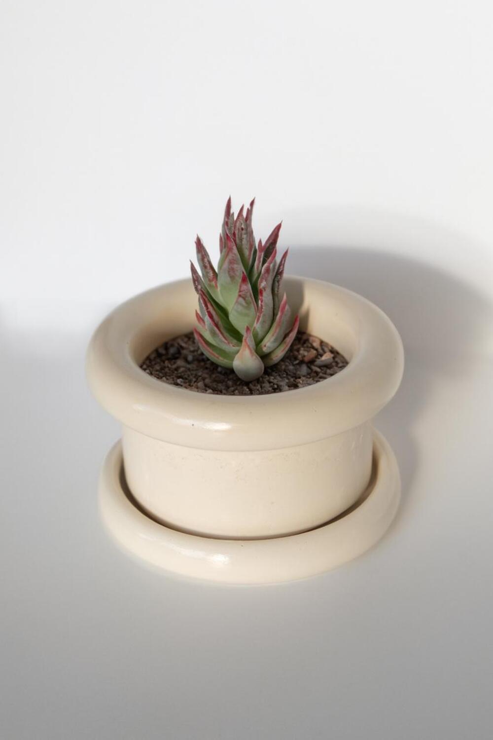 Yugatelier-Bej Beton Dekoratif Saksı-Dekoratif Saksı-1-Milagron.com