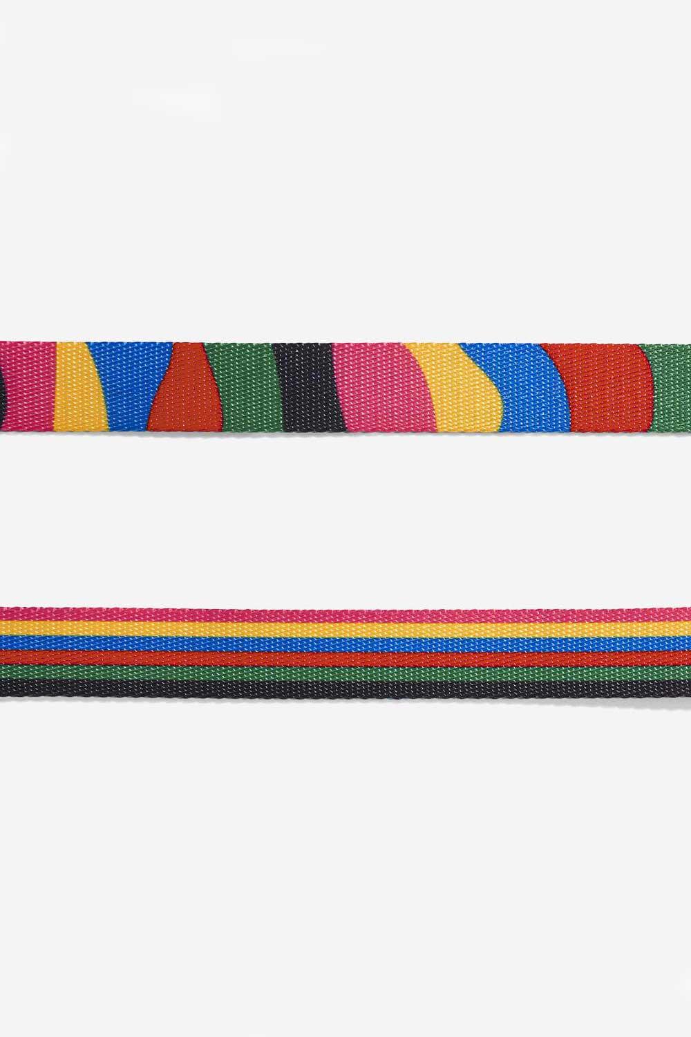 ZEE.DOG-Chroma Boyun Tasması-Köpek-4-Milagron.com