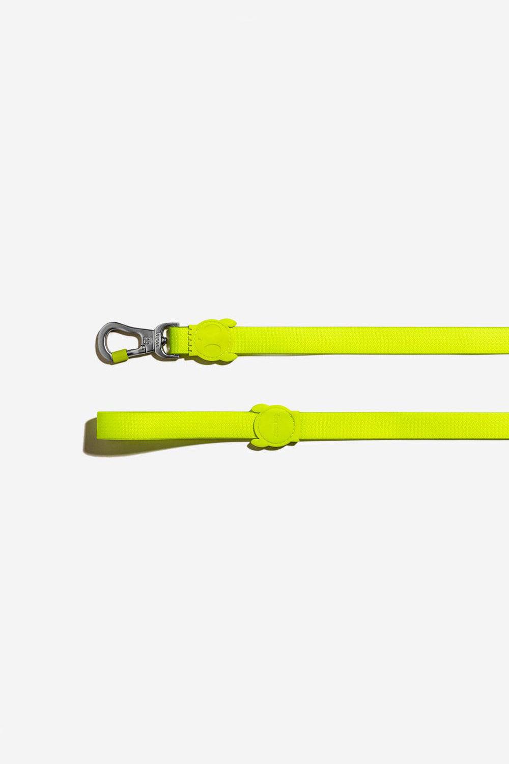 ZEE.DOG-Neopro Lime Gezdirme Tasması-Köpek-2-Milagron.com