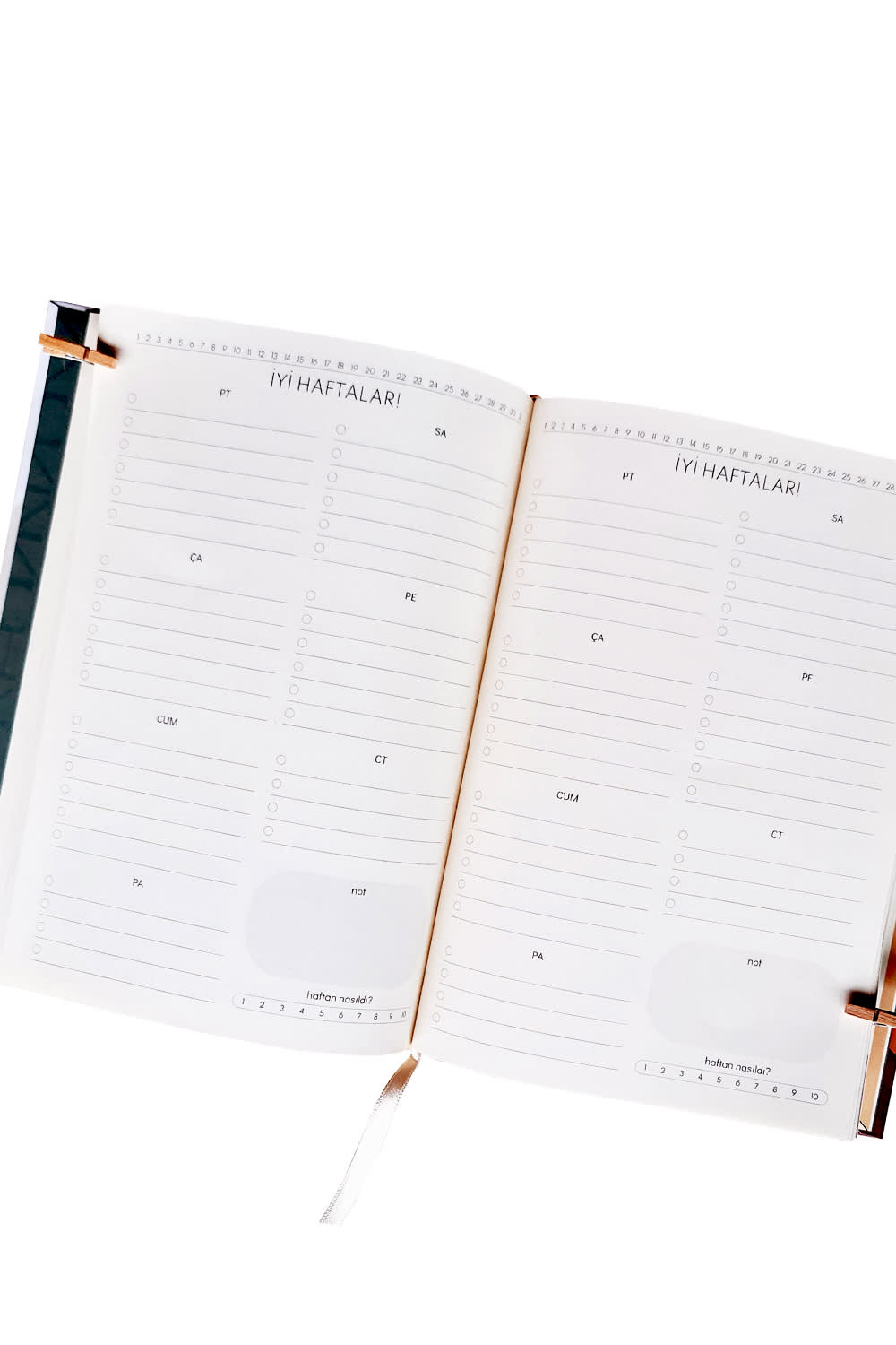 Zone Design Store-Süresi̇z Ve Tari̇hsi̇z Planlayici | Yeni Bir Gün - Doğa-Ajanda-3-Milagron.com