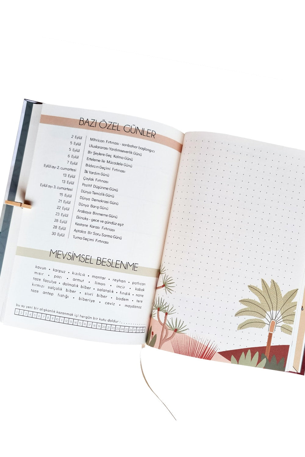 Zone Design Store-Süresi̇z Ve Tari̇hsi̇z Planlayici | Yeni Bir Gün - Doğa-Ajanda-4-Milagron.com