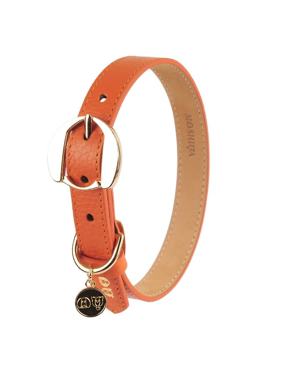 Hachiko Dog Collar