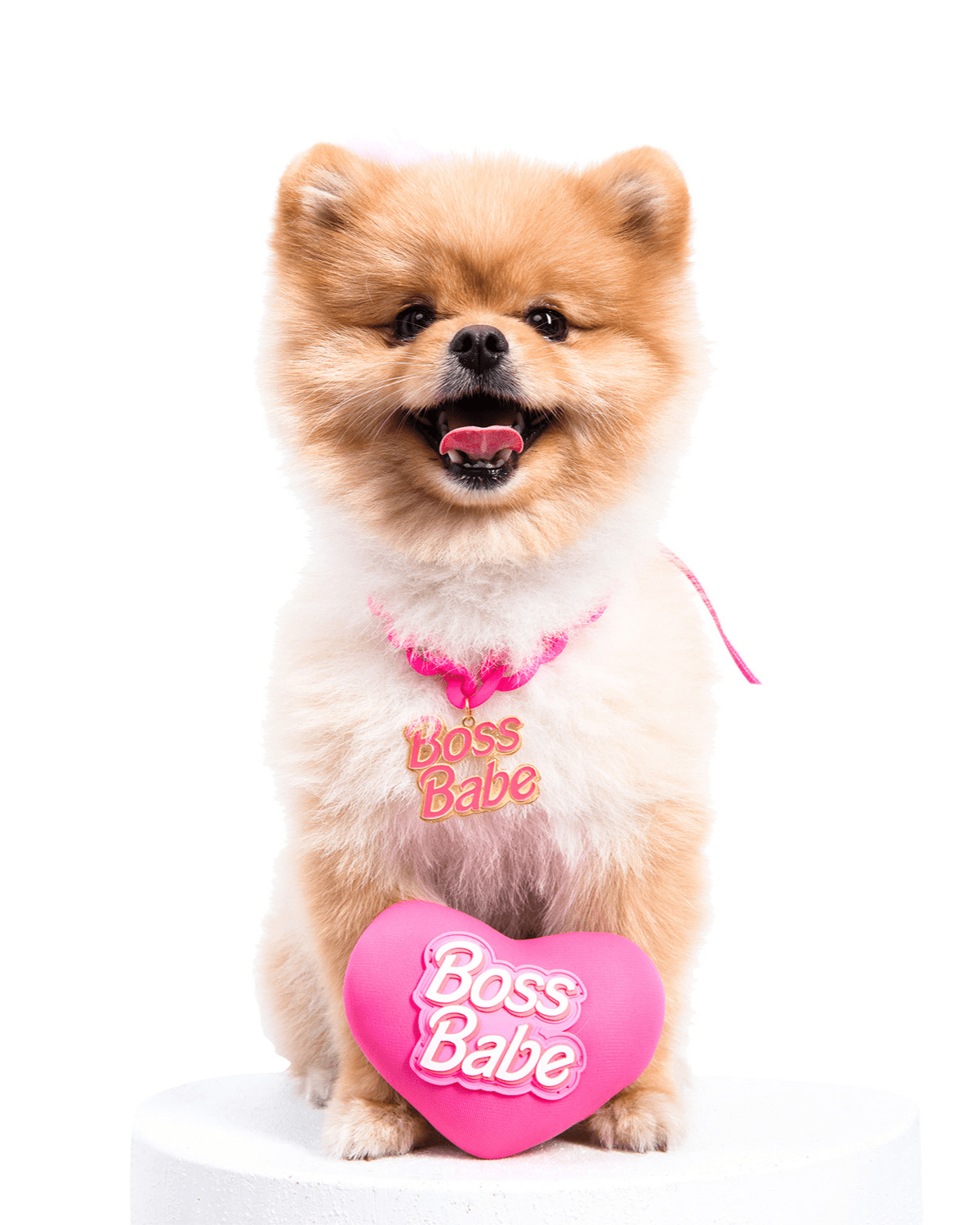 Heart Boss Babe Toy