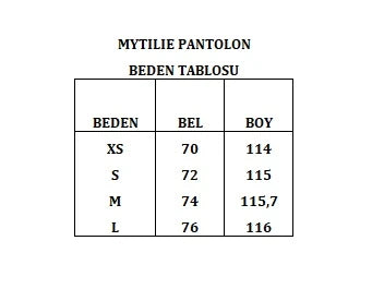 Mytilie Ipek Saten Palazzo Pantolon