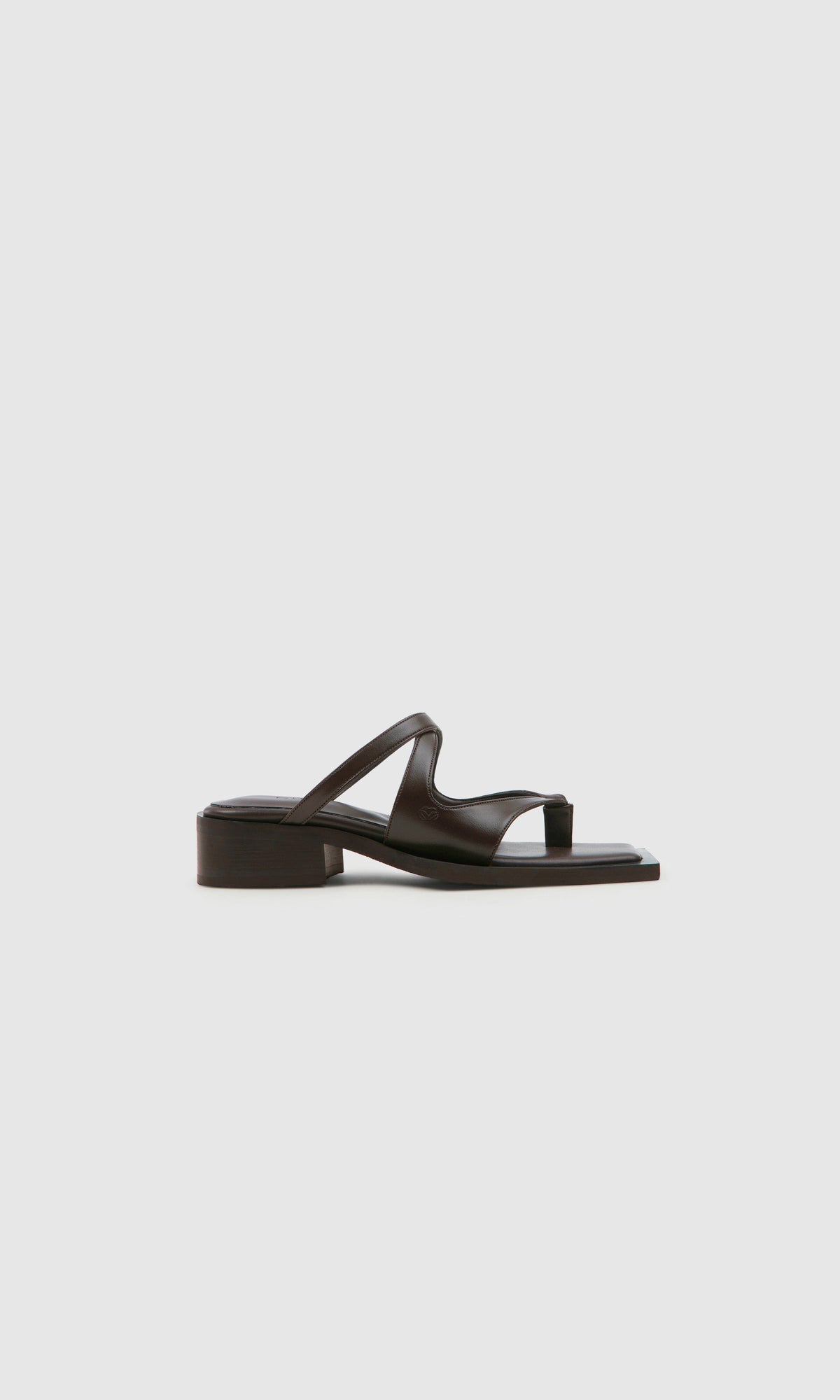 Karel Mule - Brownie