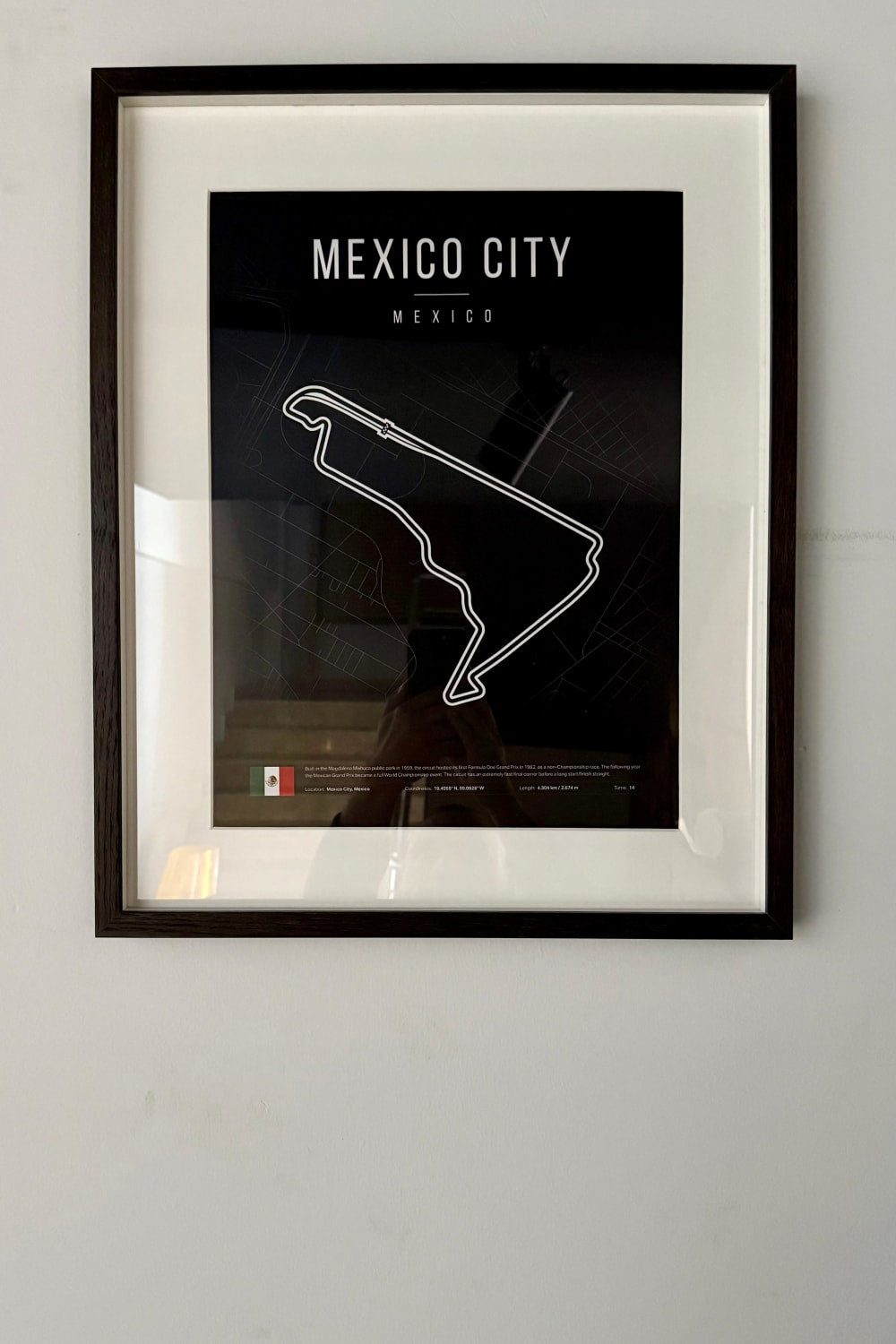 livingstore-F1 Runway Mexico Cıty-Duvar Dekorları-1-Milagron.com