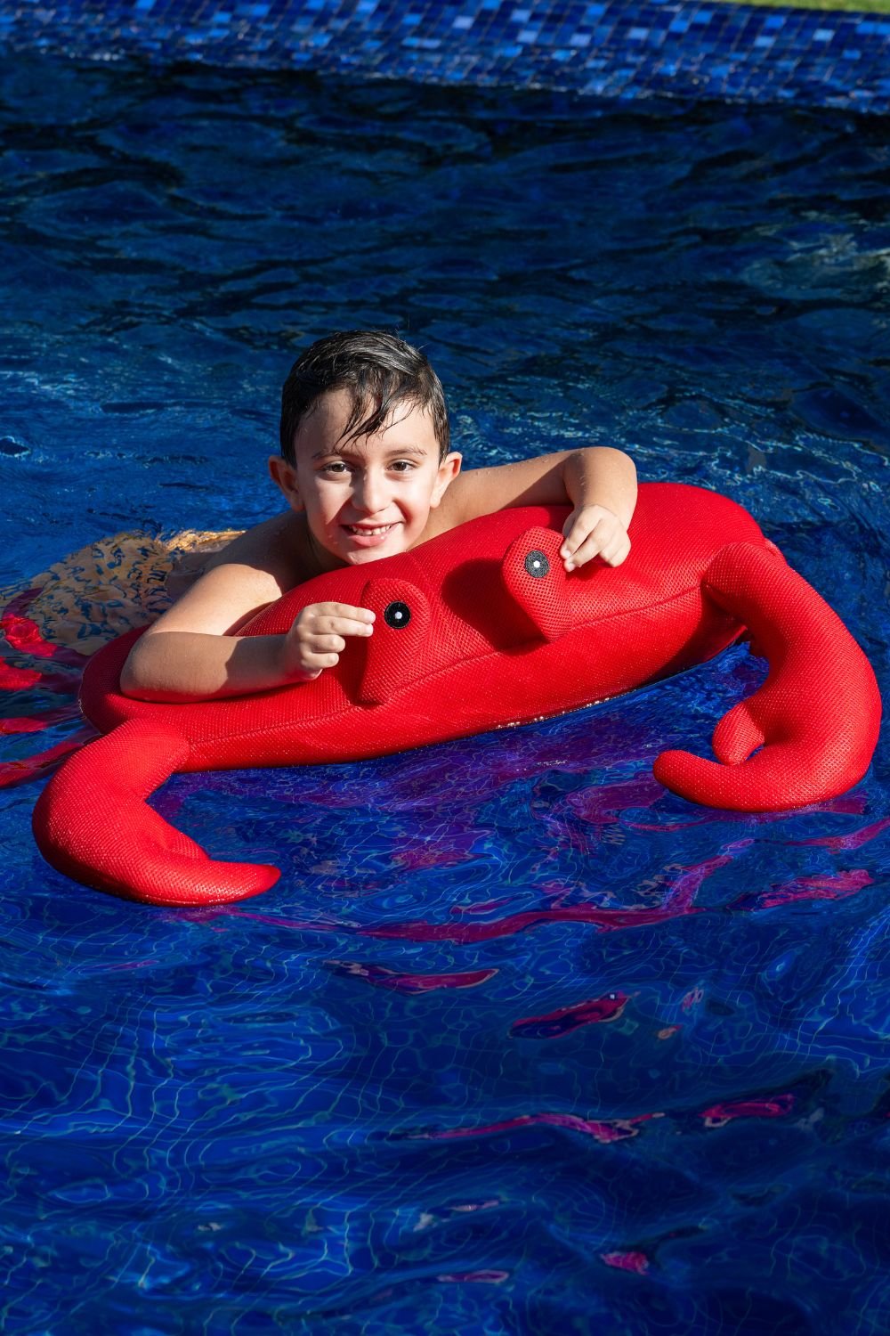 livingstore-Havuz Oyuncakları Yengeç-İnteraktif Oyuncak-1-Milagron.com