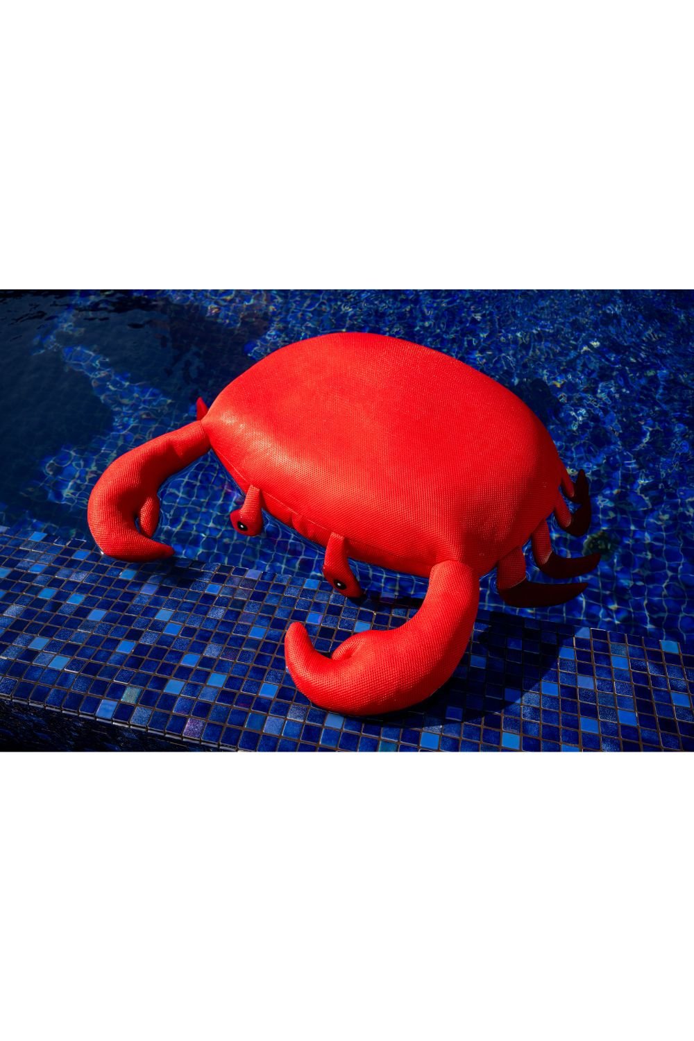 livingstore-Havuz Oyuncakları Yengeç-İnteraktif Oyuncak-4-Milagron.com