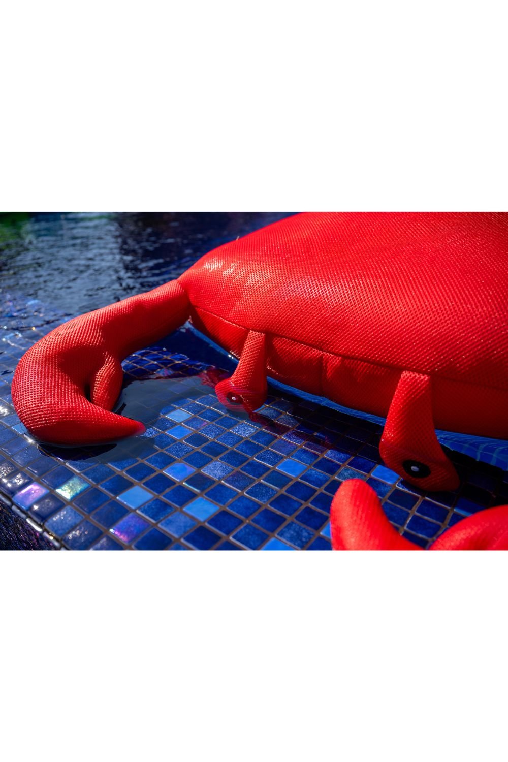 livingstore-Havuz Oyuncakları Yengeç-İnteraktif Oyuncak-5-Milagron.com