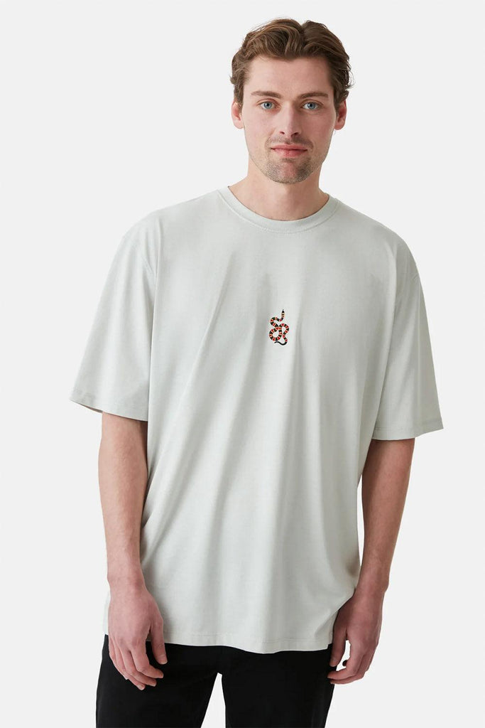 WWF MARKET | Mercan Yılanı Oversize T-Shirt - Gri 3 | Milagron