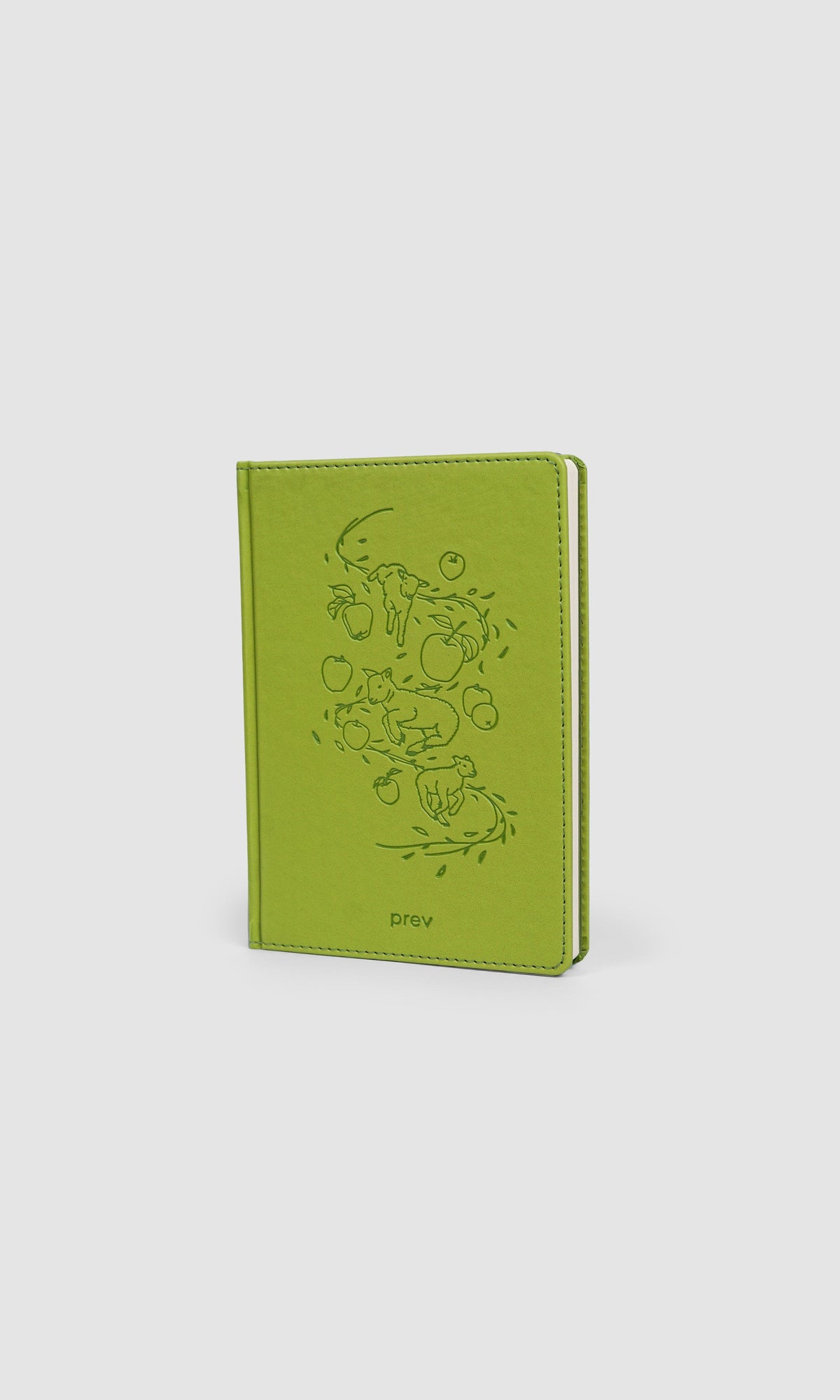 Notebook - Counting Lives