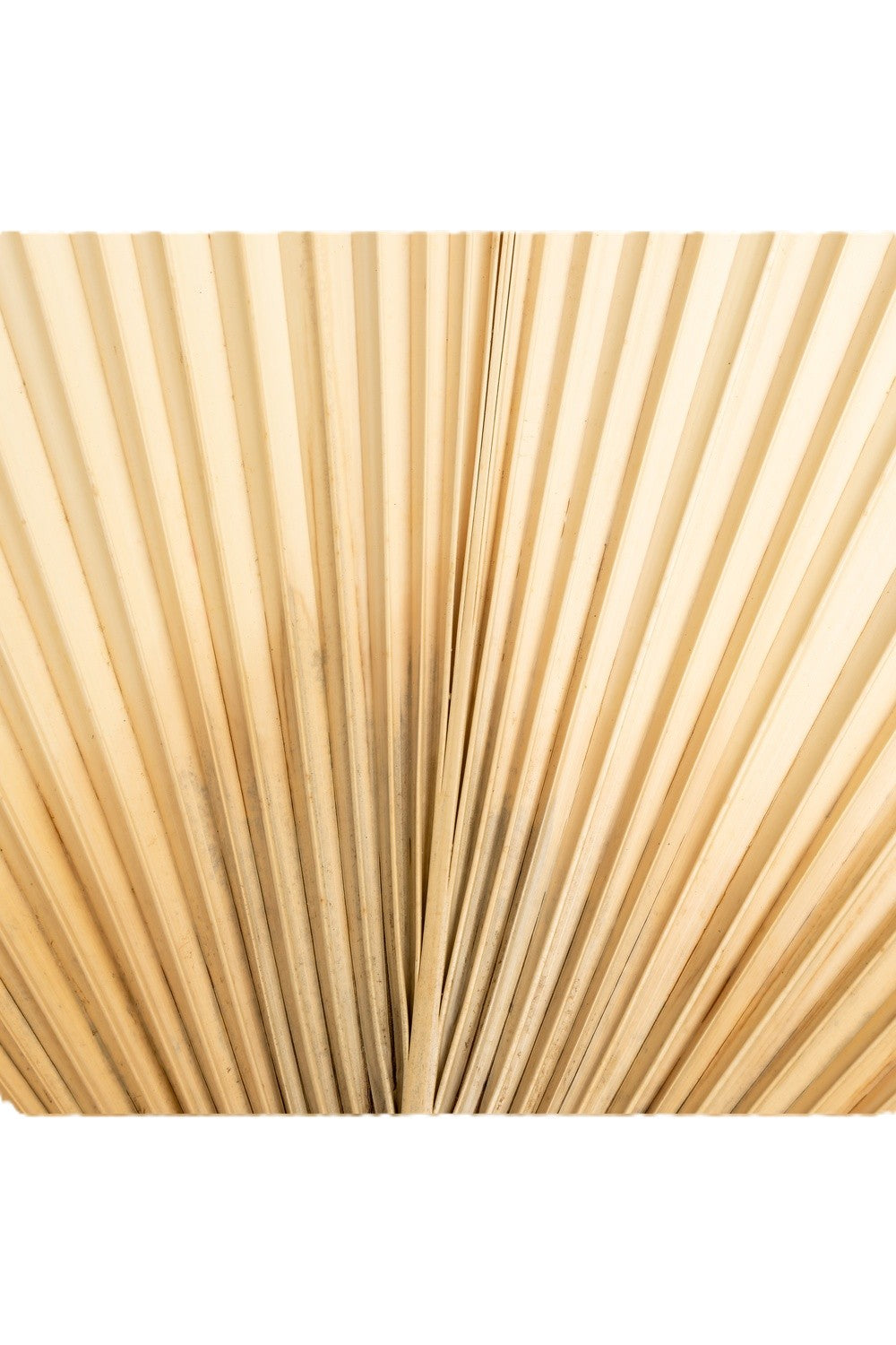 Ürün Görseli