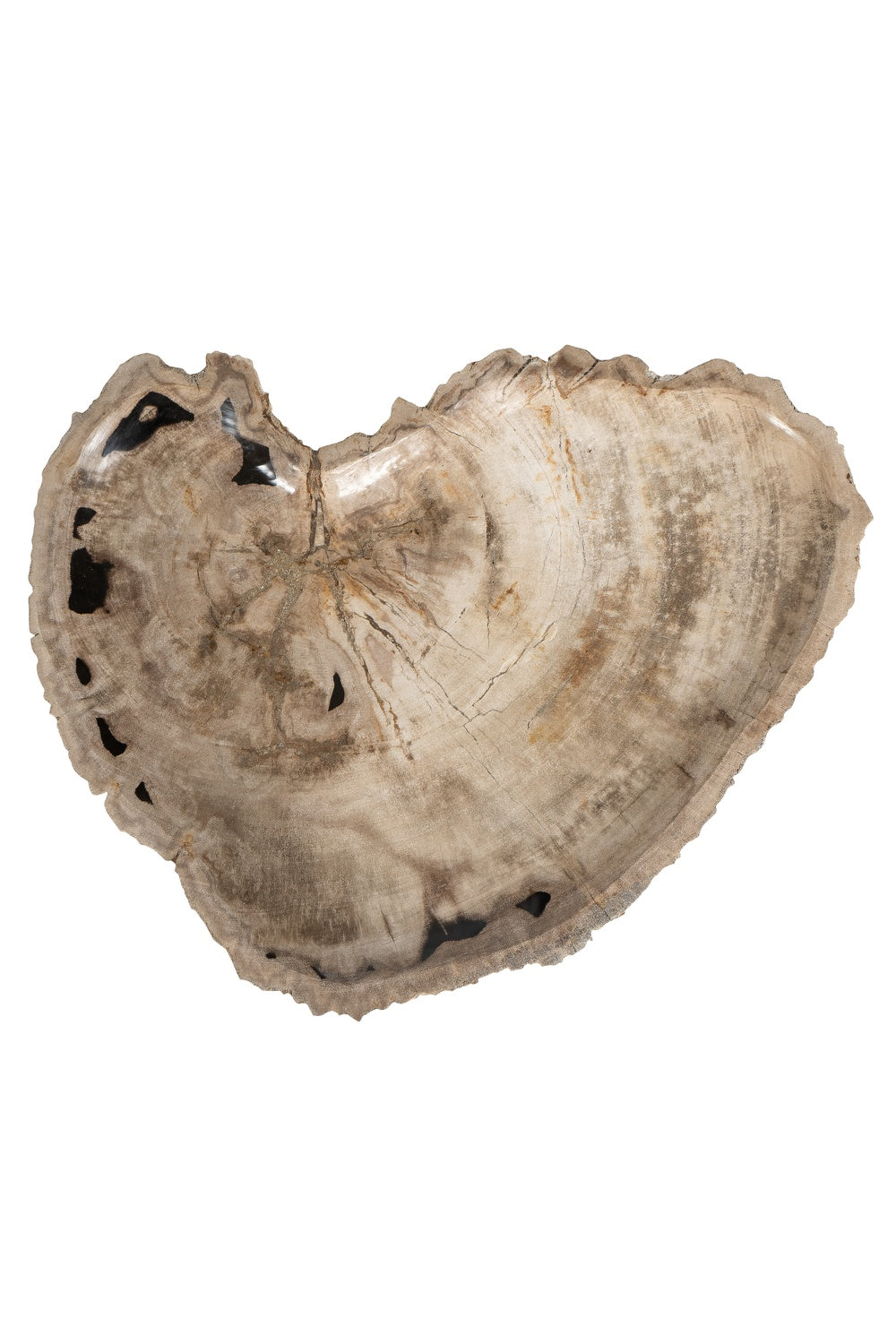 Ürün Görseli