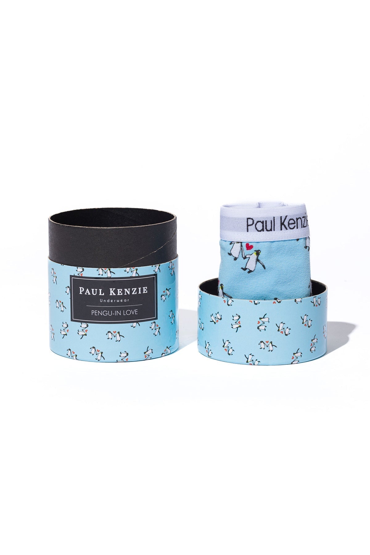 Couple Collection Desenli Kadın Slip Külot, Penguin Love - 1