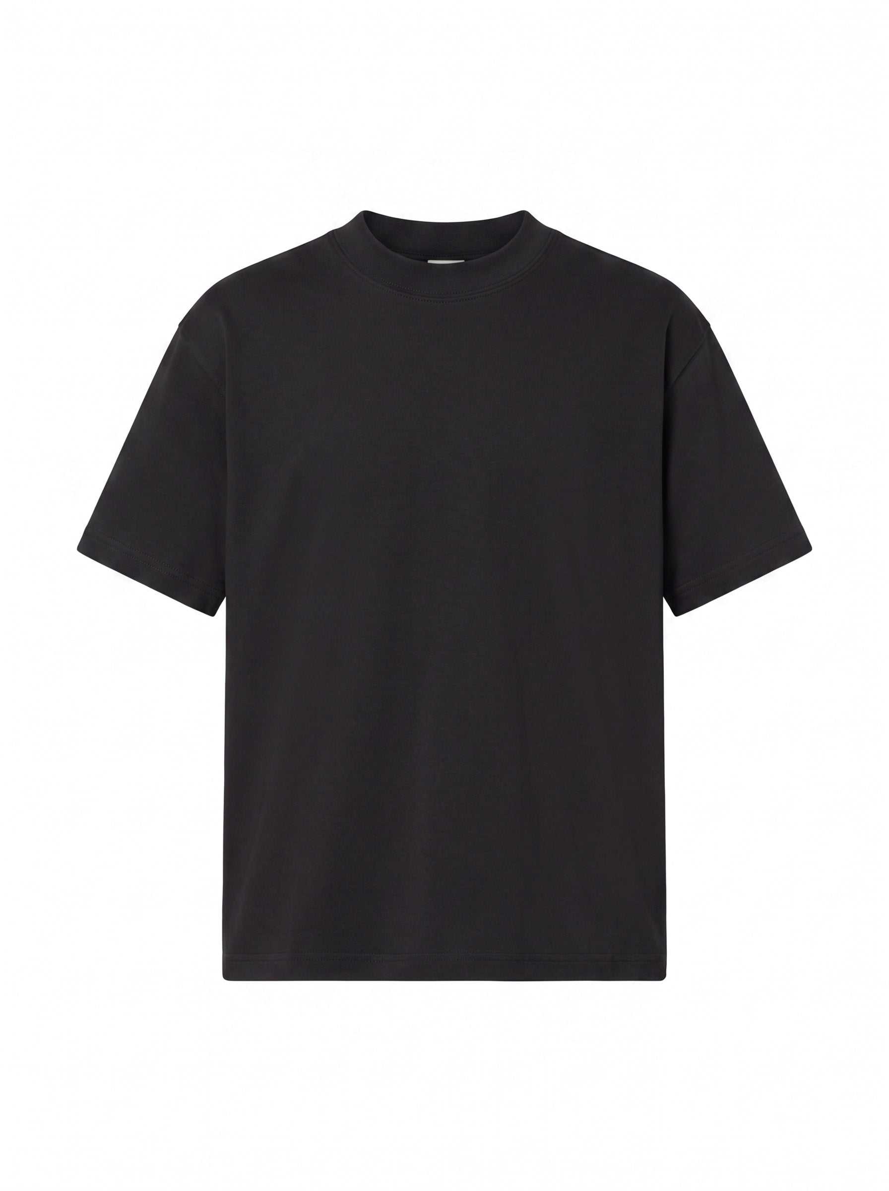 Organik Penye Basic Siyah Regular T-Shirt - 0