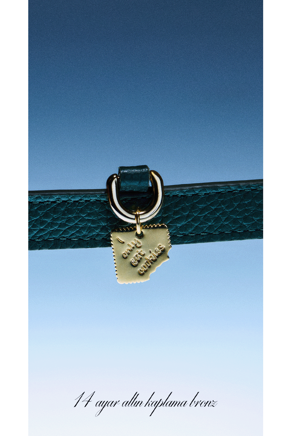 I Only Eat Cookies Pet Charm - Altın - 3