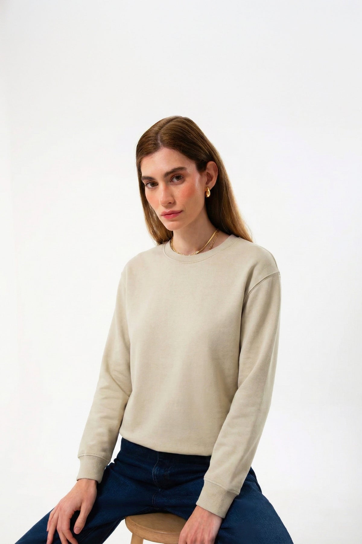 Regular Fit Logo Nakışlı Sweatshirt, Bej - 0