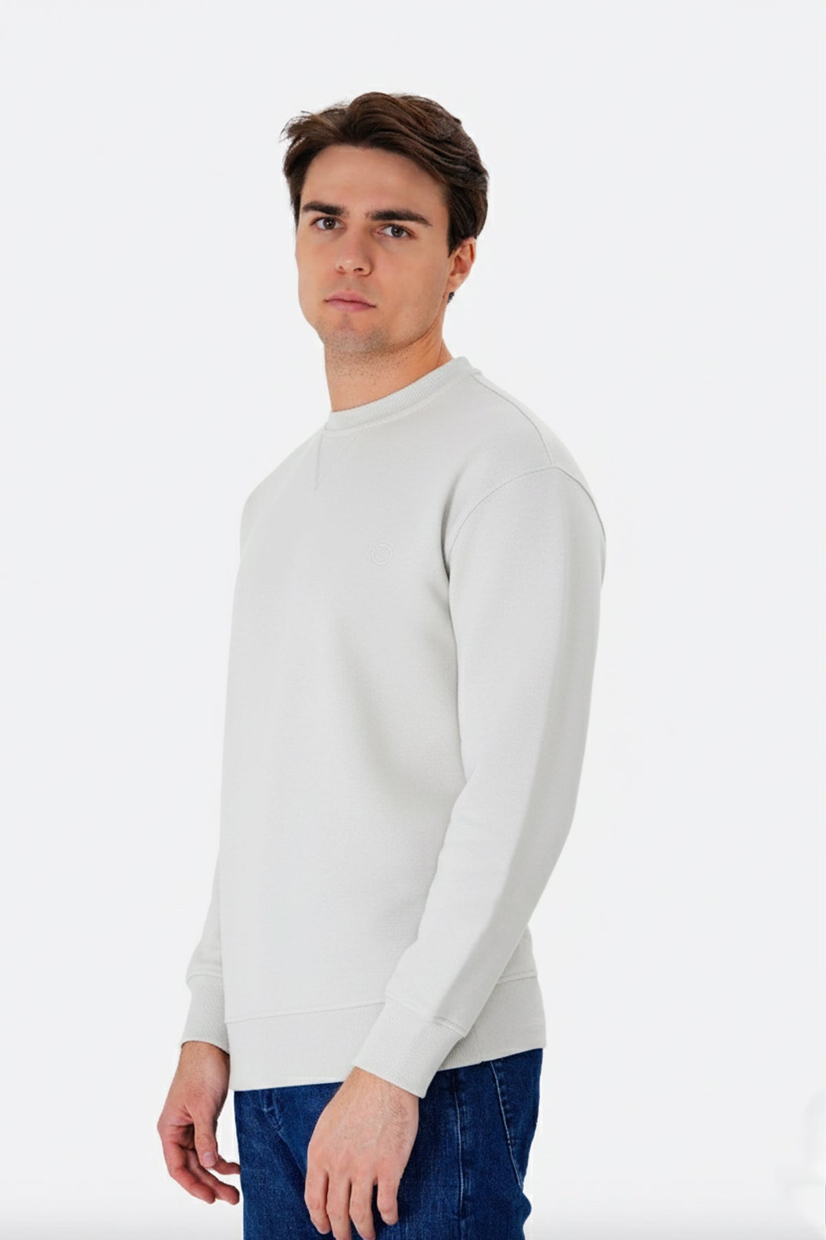 Regular Fit Logo Nakışlı Sweatshirt, Taş - 1