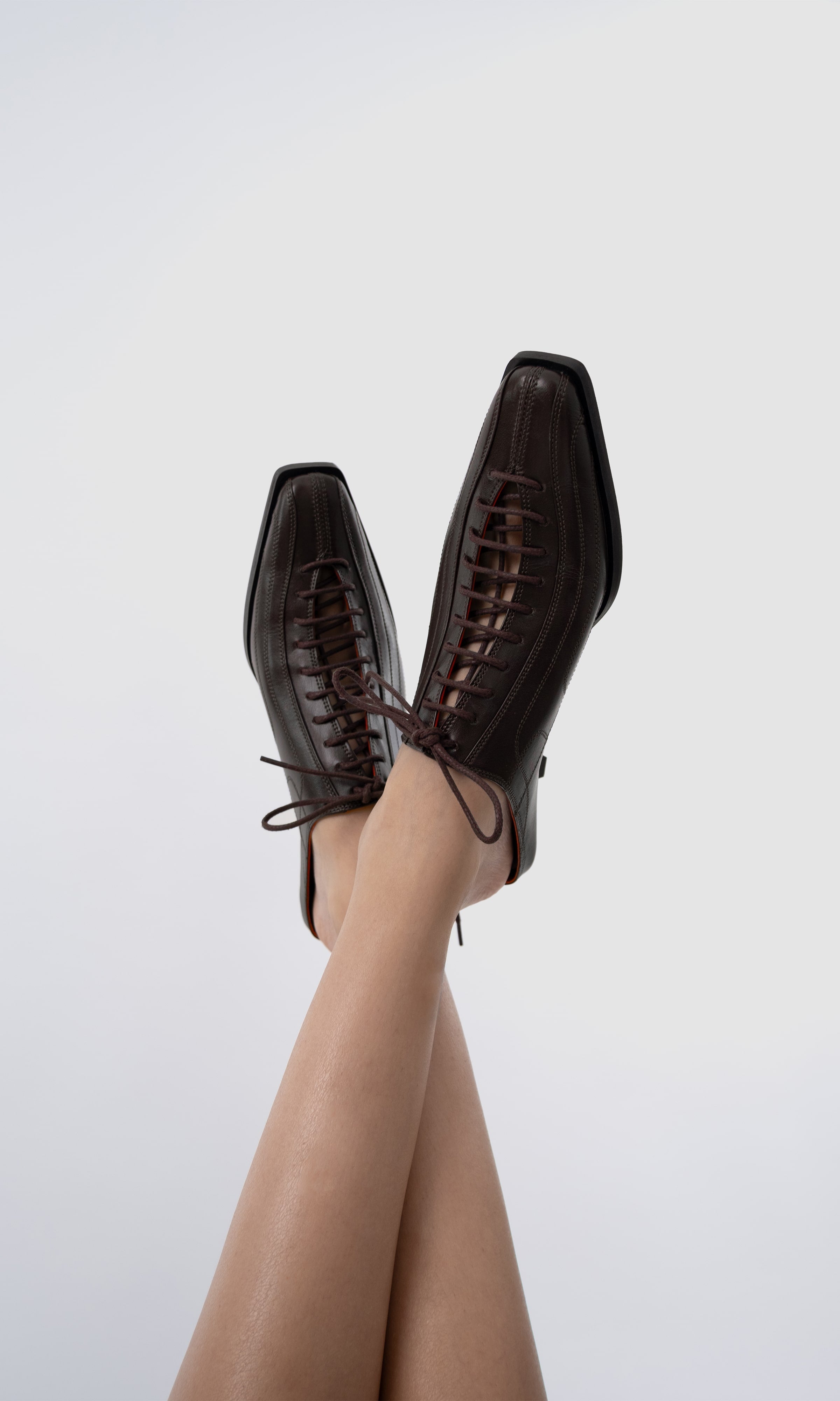 Rachel Mule - Cherry Brownie