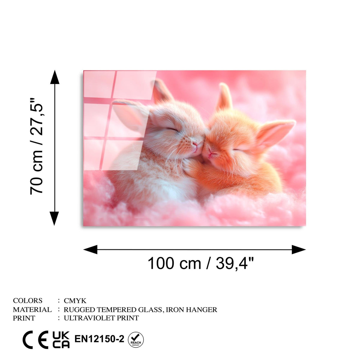 Uv-1176 Baskılı Cam Dikdörtgen Duvar Tablosu