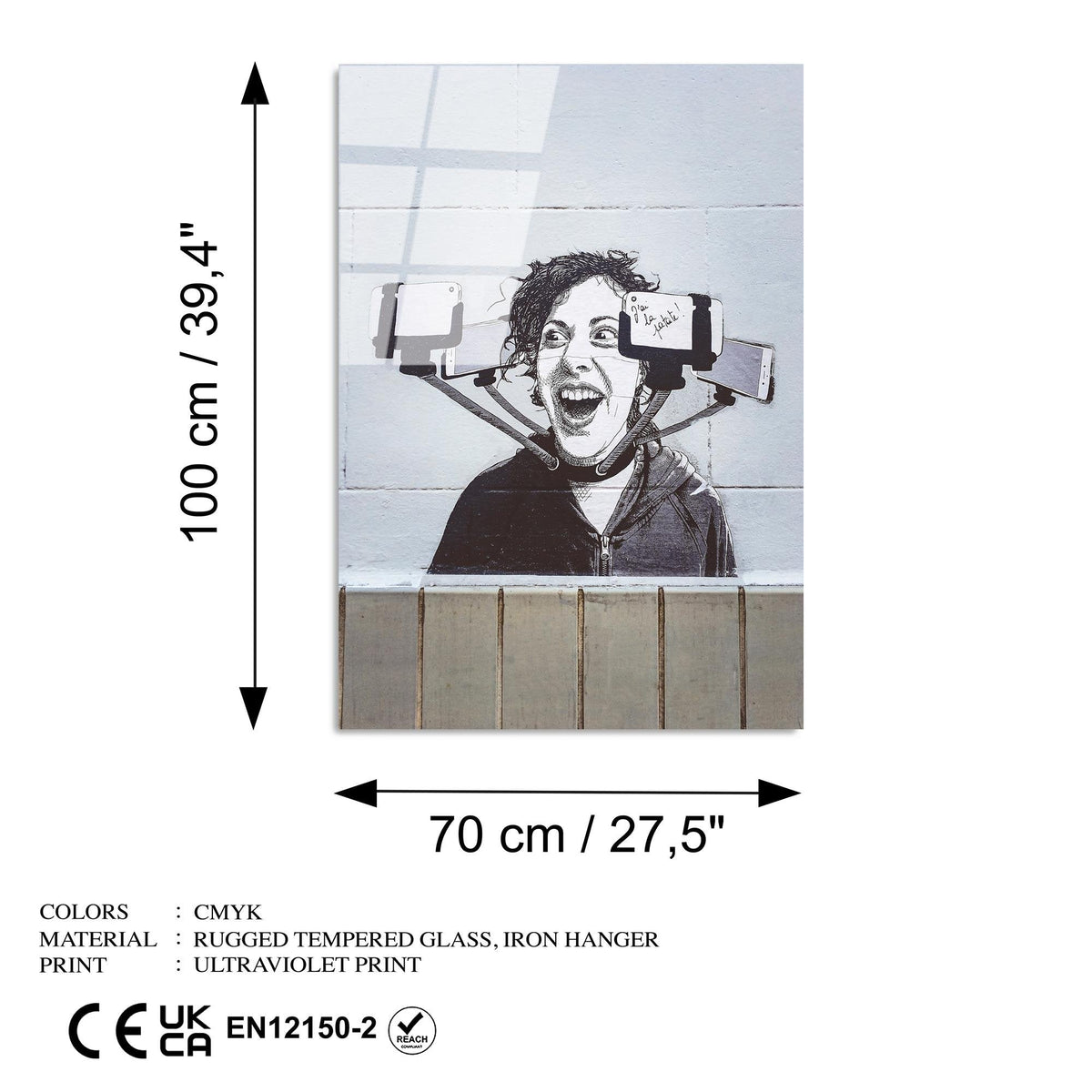 Uv-1209 Baskılı Cam Dikdörtgen Duvar Tablosu