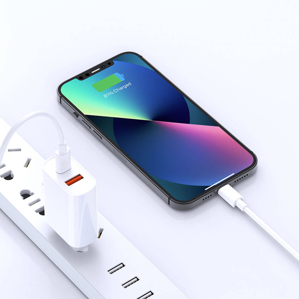 Wi-U002 Type-C Pd Hızlı Şarj Seti 20W