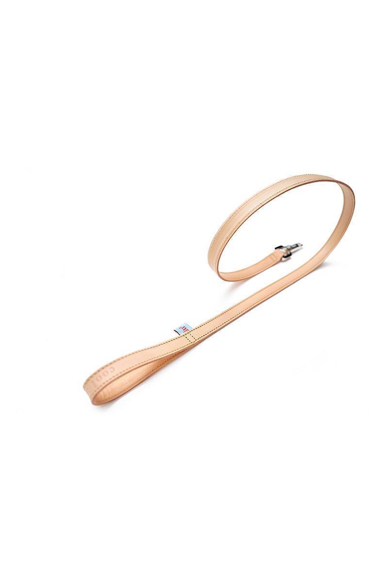 DU2-Deri Gezdirme Tasması-Köpek-1-Milagron.com