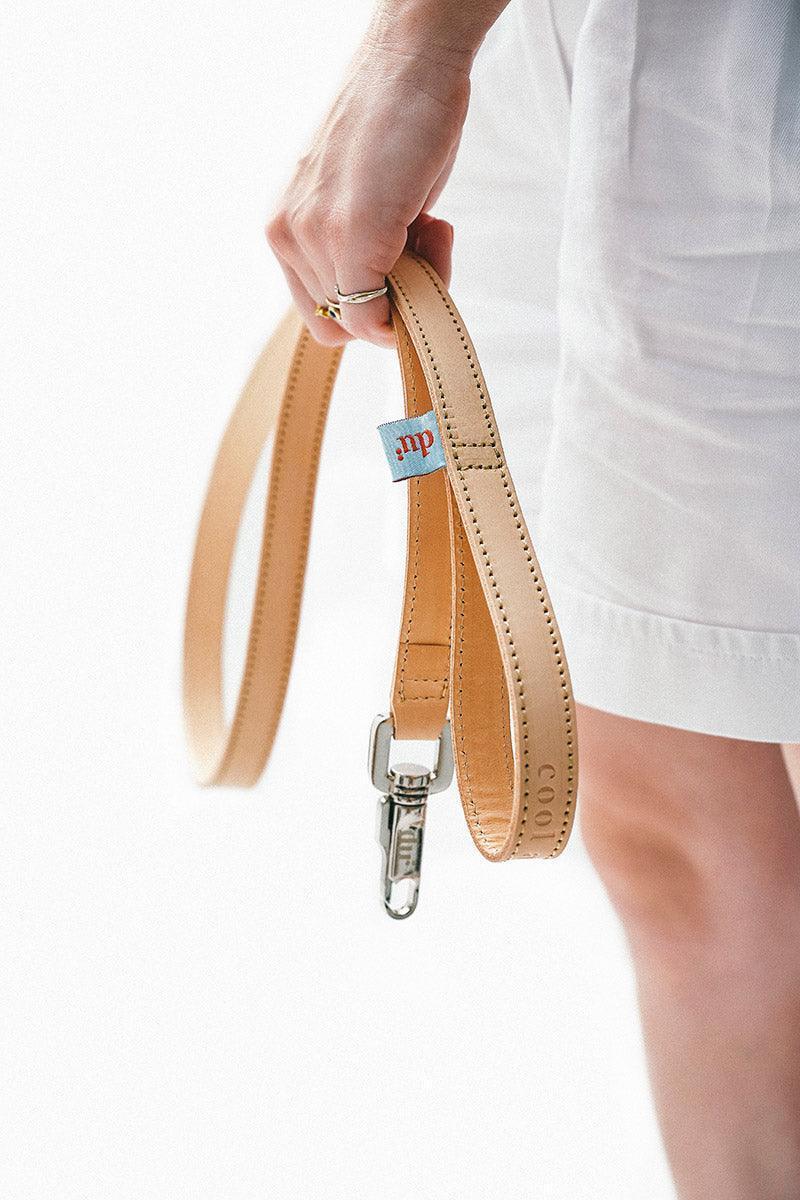 DU2-Deri Gezdirme Tasması-Köpek-2-Milagron.com