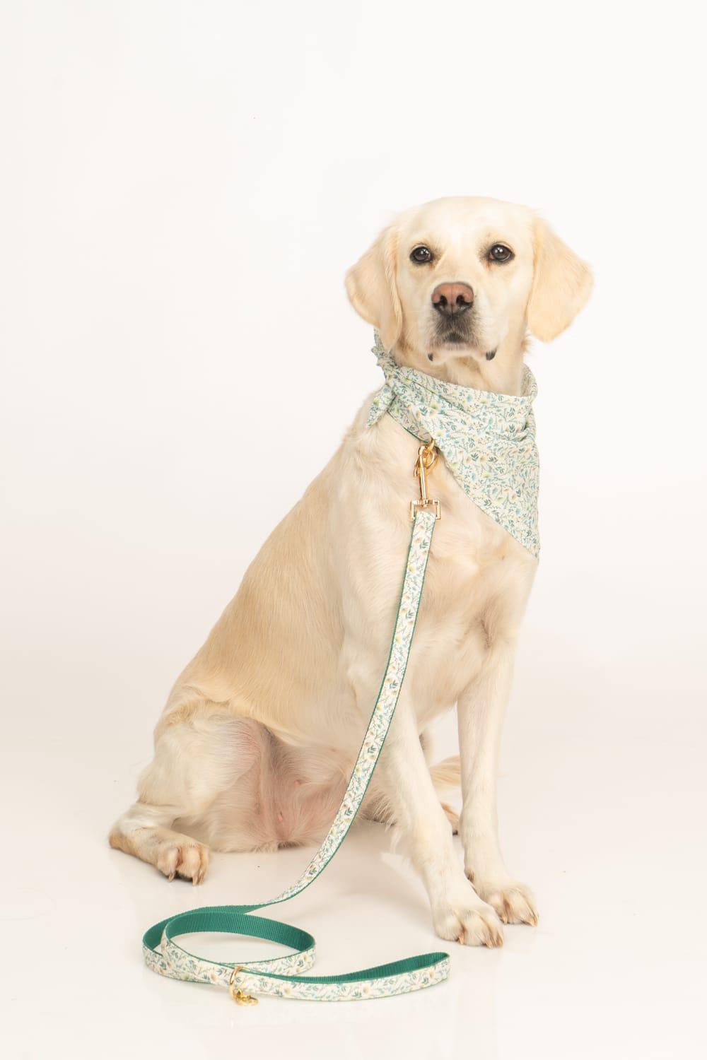 Gliparis-Lugo Köpek Bandana-Köpek-4-Milagron.com
