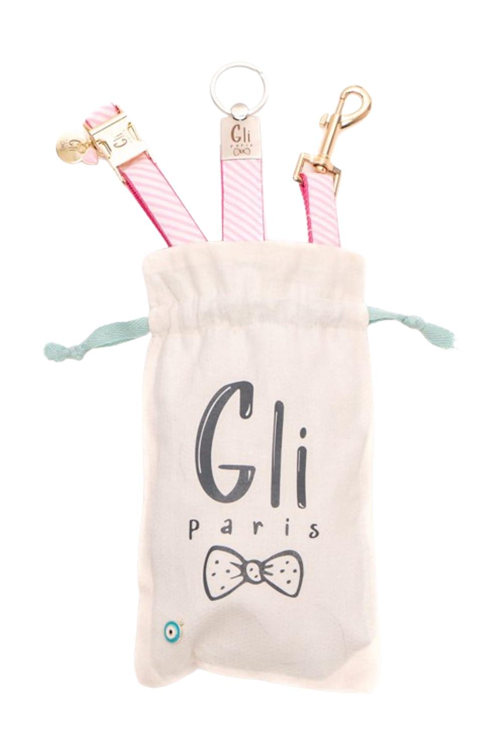 Gliparis-Malaga Gezdirme Tasması-Köpek-8-Milagron.com