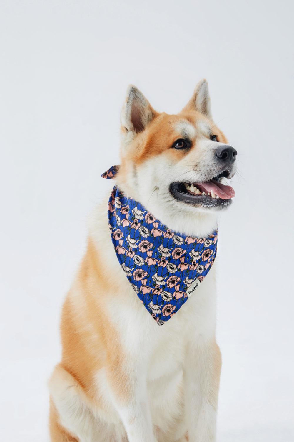 Hypet Fashion-Bloom Bandana-Köpek-3-Milagron.com