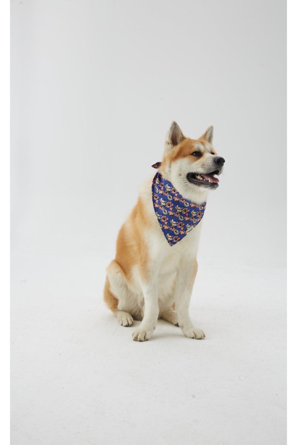 Hypet Fashion-Bloom Bandana-Köpek-4-Milagron.com