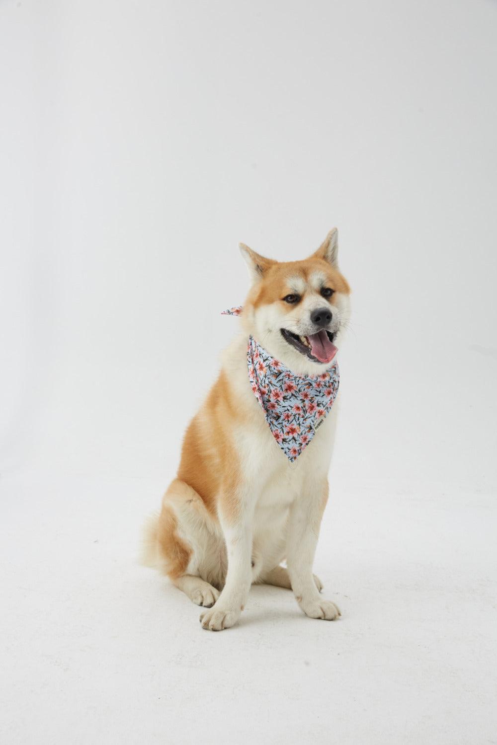 Hypet Fashion-Blue Floral Bandana-Köpek-1-Milagron.com